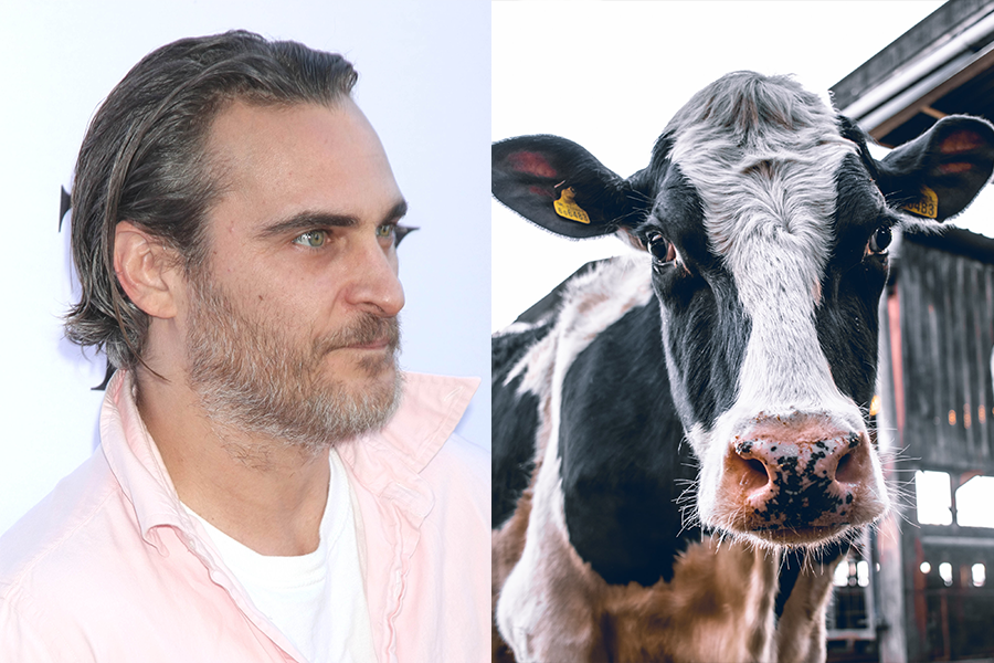Joaquin Phoenix Accused of Causing Mental Health Problems to British Livestock Farmers