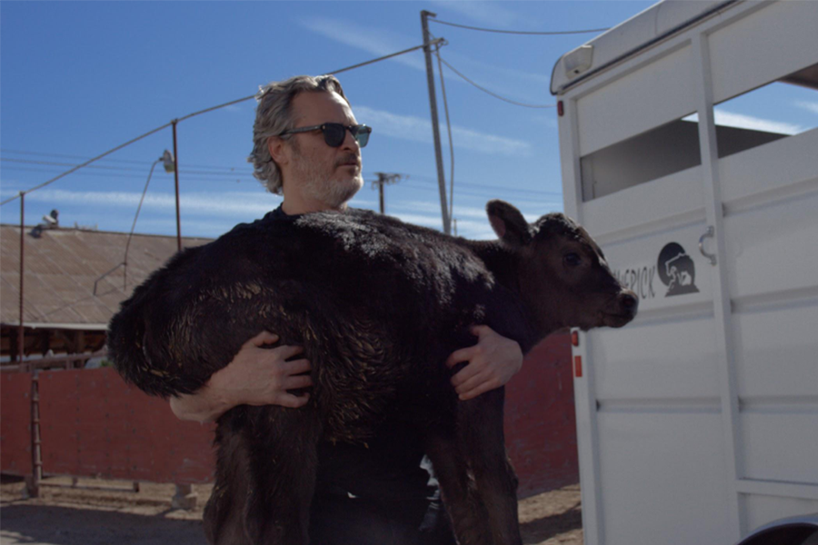 Joaquin Phoenix Helped Los Angeles Animal Save Liberate a Cow