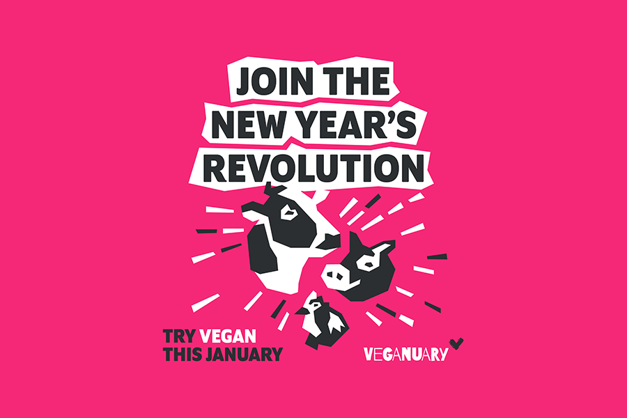 Veganuary is Forecasted to Save North of One Million Animals' Lives -  VEGWORLD Magazine
