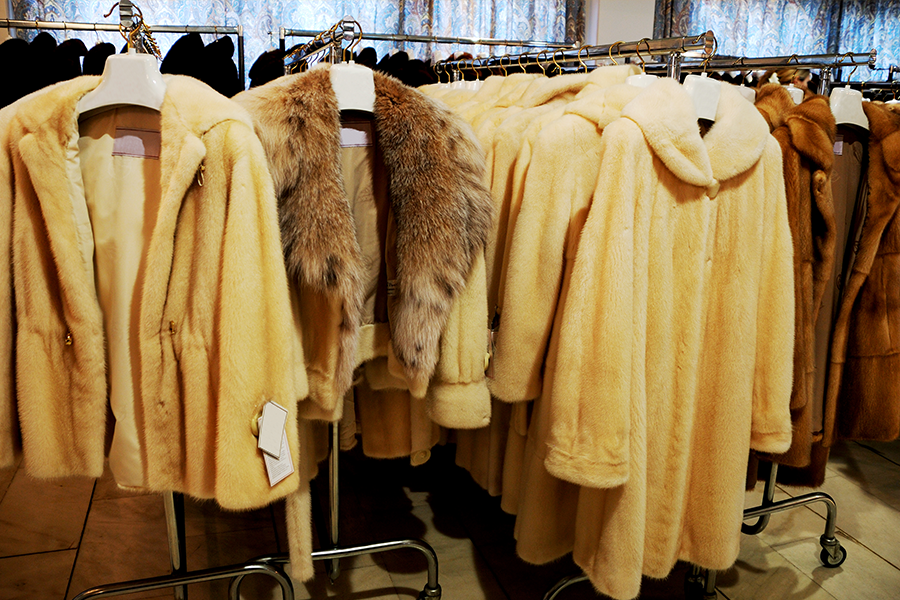 Come 2020, Macy’s Will Be a Fur-Free Organization