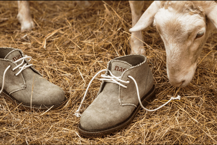 animal free shoes