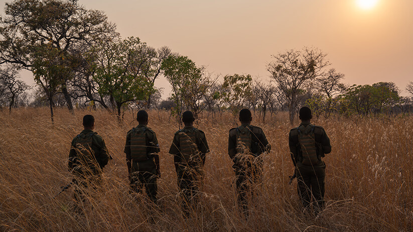 GAME CHANGERS STAR + JAMES CAMERON PRODUCED ANTI-POACHING DOCUMENTARY SHOWCASES AT EARTHXFILM VIRTUAL FILM FESTIVAL