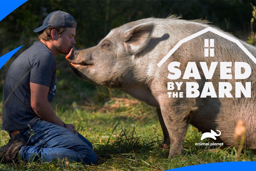 The 1st Episode of Saved By The Barn Airs Tomorrow on Animal Planet