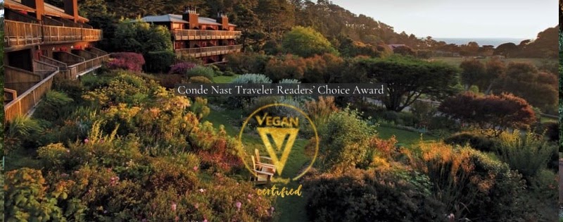 Need a vacation from COVID quarantine? Plan a trip to recharge at American’s only luxury vegan resort, now certified vegan by BeVeg
