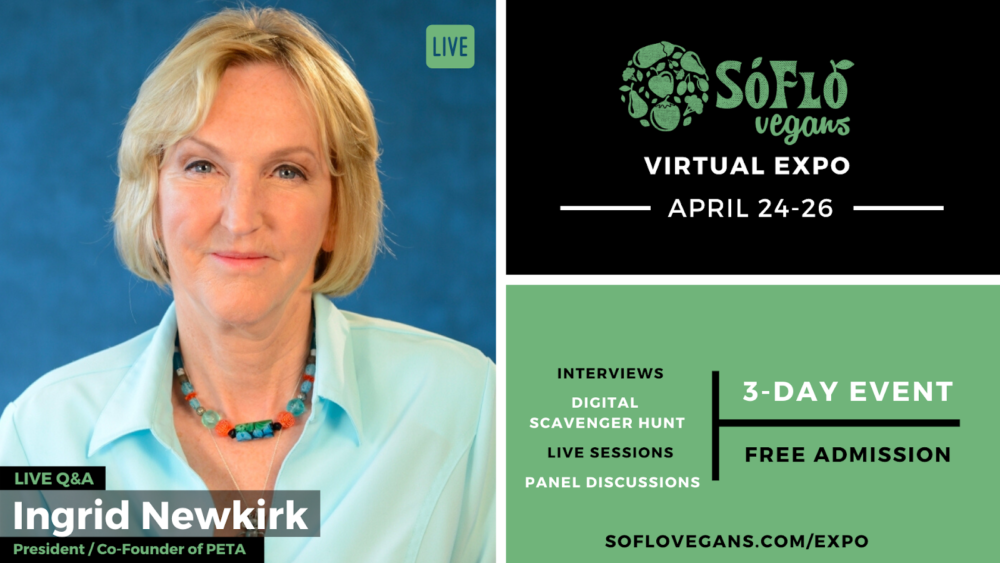 Live Q&A Session with Ingrid Newkirk for Virtual Expo Next Week