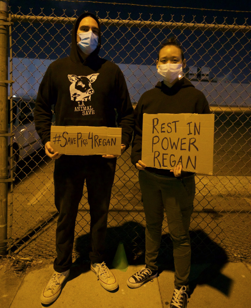 Joaquin Phoenix Pays Tribute to Slain Activist at Slaughterhouse Vigil