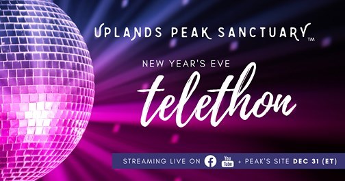 Free New Year’s Eve Telethon For Farmed Animals