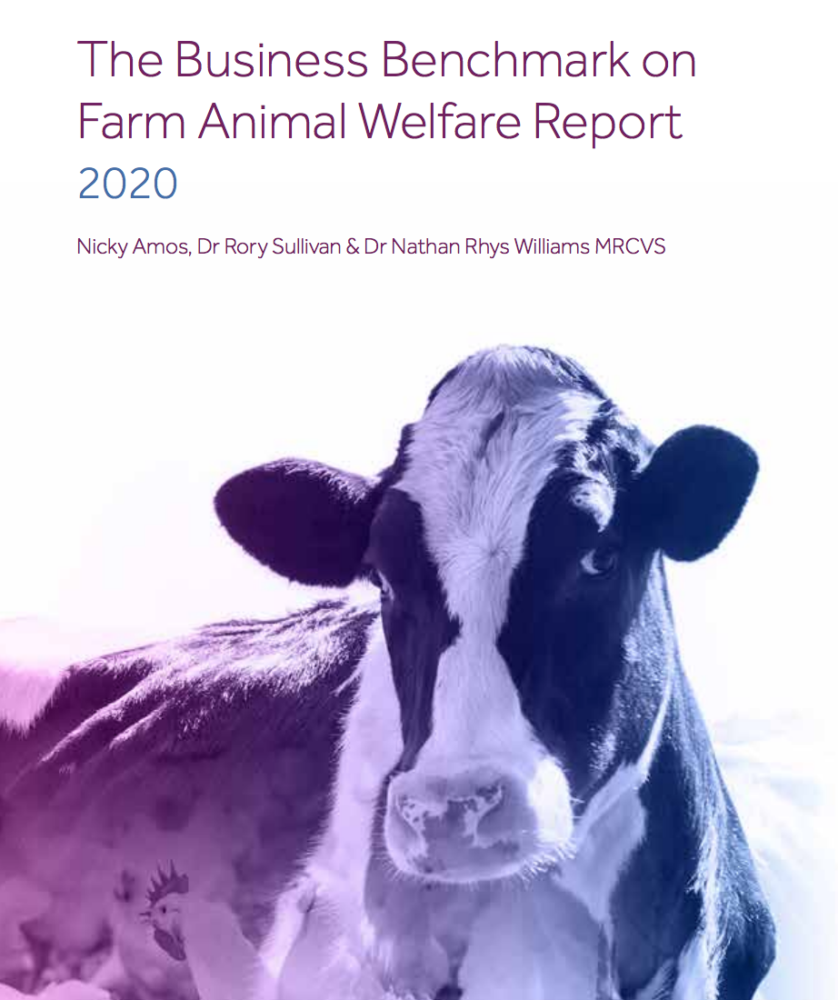 Global brands, Subway, General Mills, and many more are failing on animal welfare according to new report