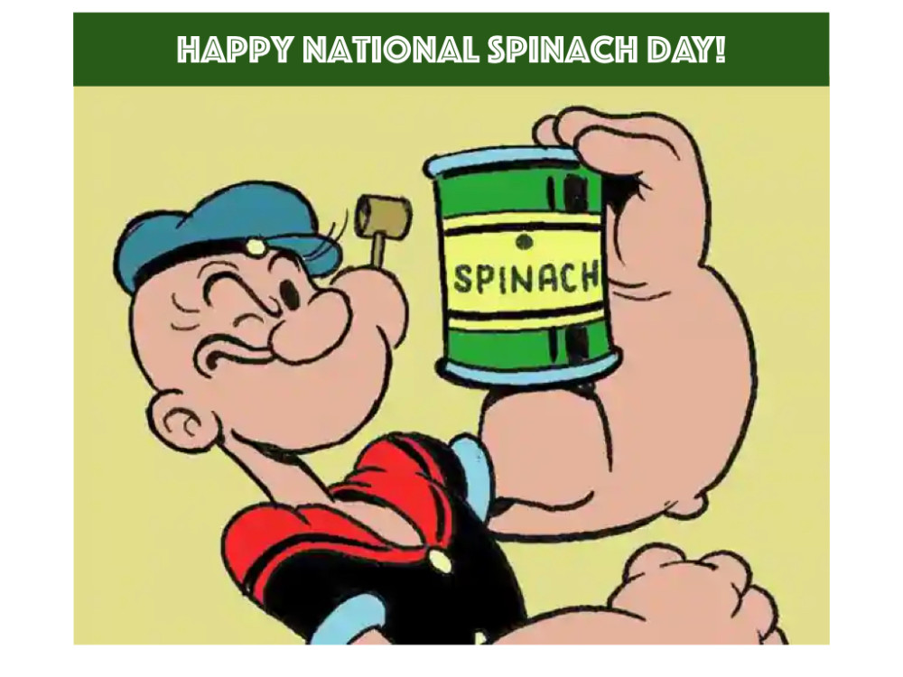 SPECTACULAR SPINACH FACTS- CELEBRATING NATIONAL SPINACH DAY
