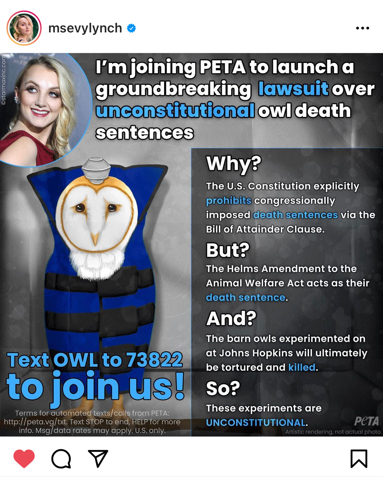 Operation Owl Rescue PETA Takes on Johns Hopkins University Experimenters in Groundbreaking
