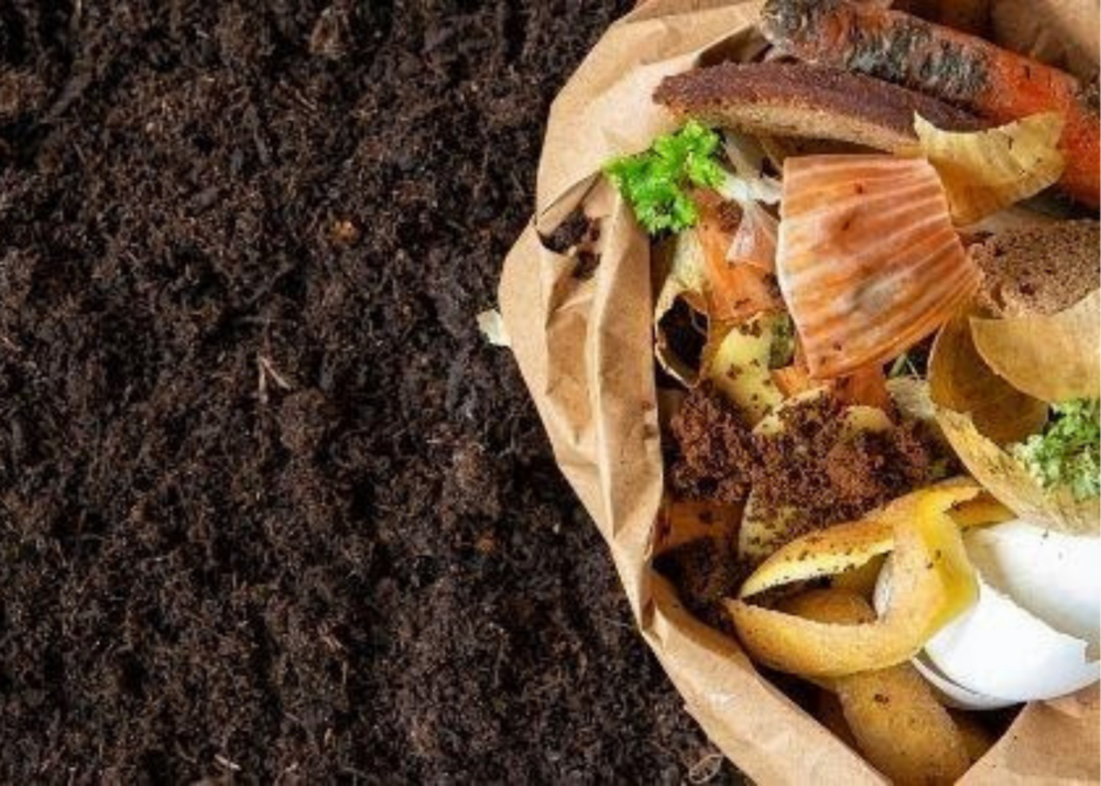 What Are Inoculants Used for in Composting?