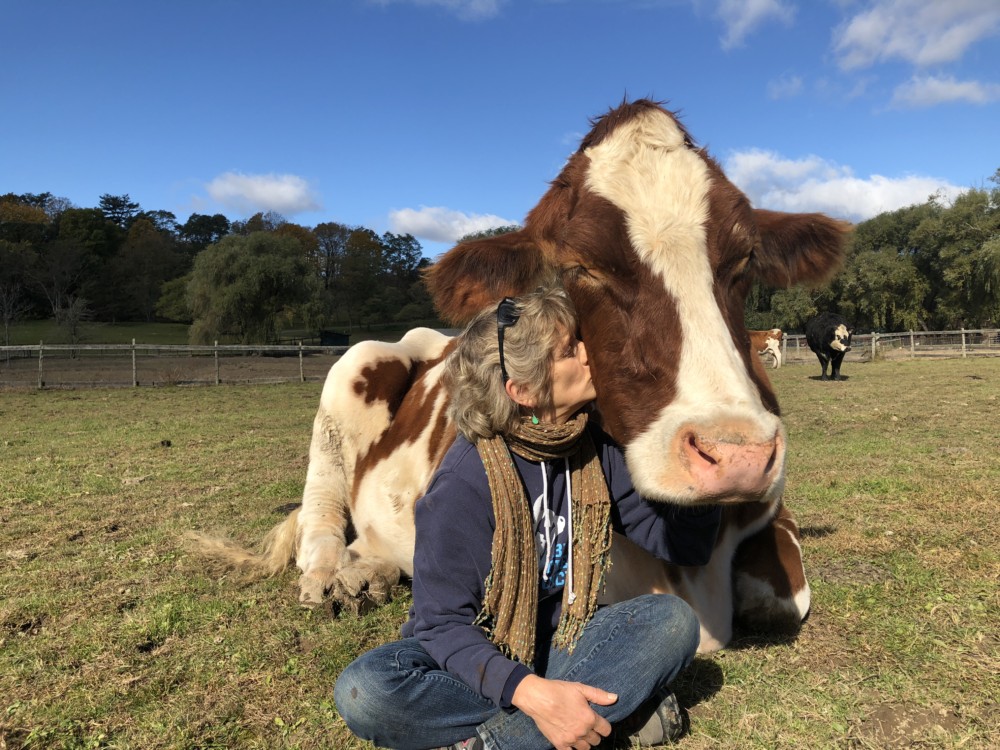 World Leading Animal Sanctuary Launches “Herd Around the Barn,” a Podcast About Plant-Based Living