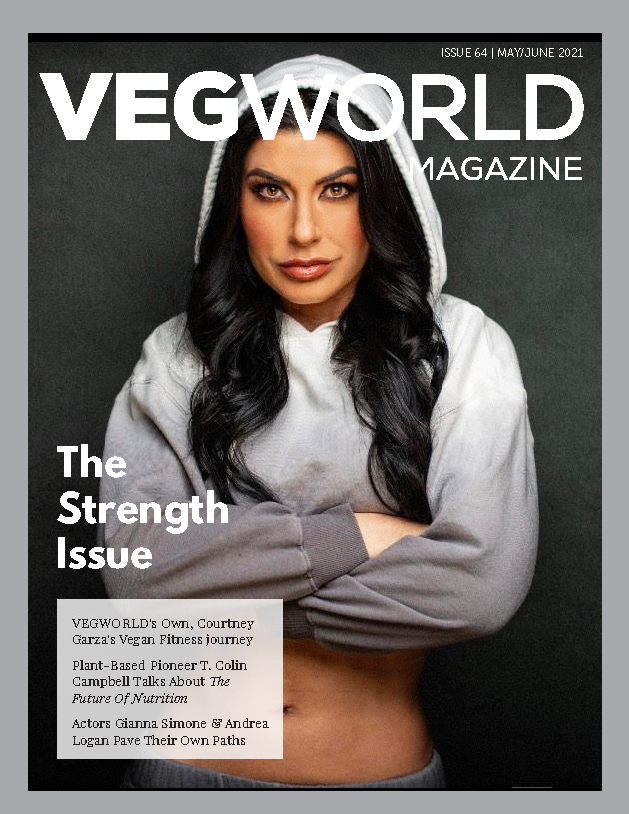 The Strength Issue • VEGWORLD 64
