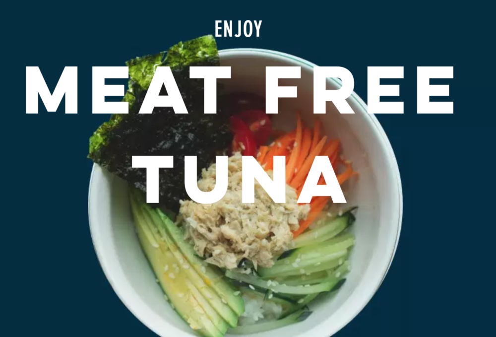 JINKA Opts to #AskMermaids Directly: “What’s the Best Tuna Alternative?”