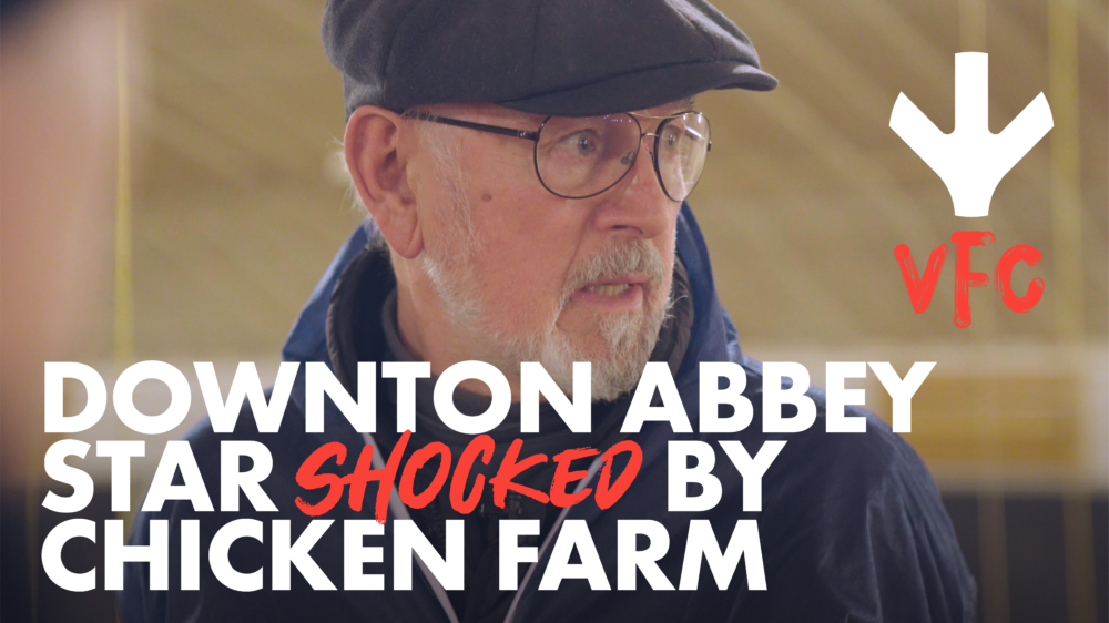 Downton Abbey Actor Peter Egan Goes Undercover Inside Chicken Farm