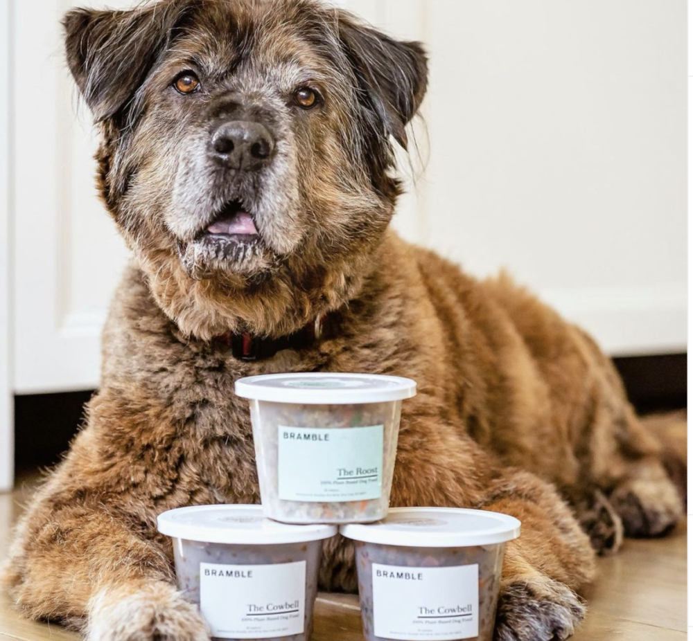 FRESH FROM THE KITCHEN, ON TO THE PLATE- BRAMBLE’S VEGAN PET FOODS ARE PLATE-LICKING GOOD