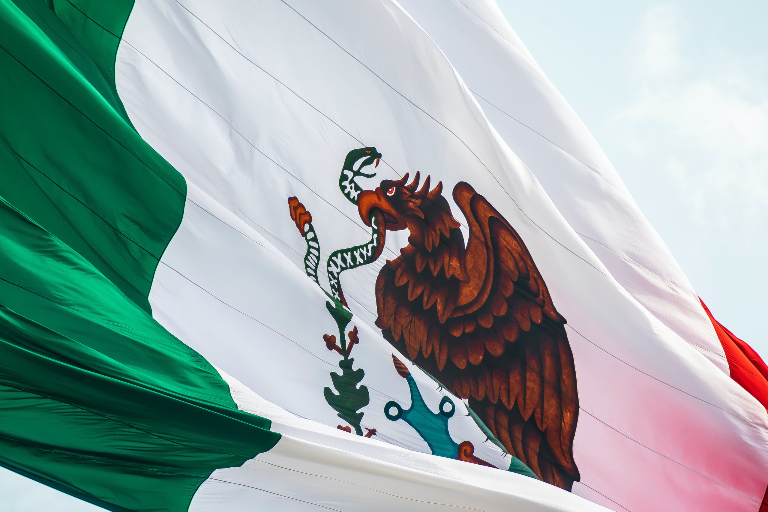 Mexico Becomes the First North American Nation to Ban Cosmetic Testing on Animals
