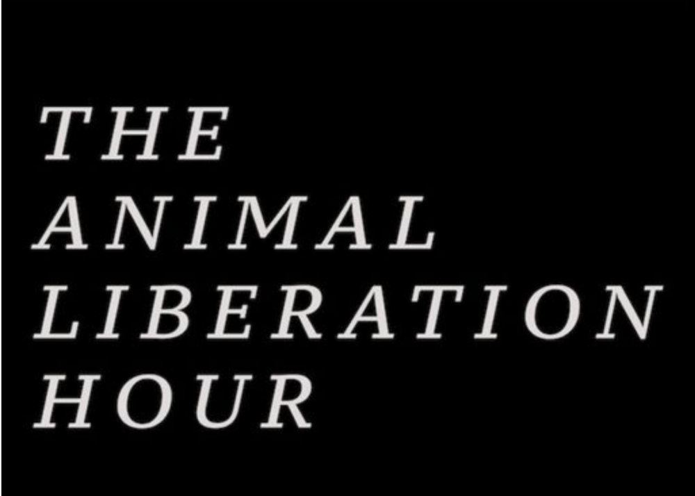 Animal Activism Mentorship Launches New Podcast
