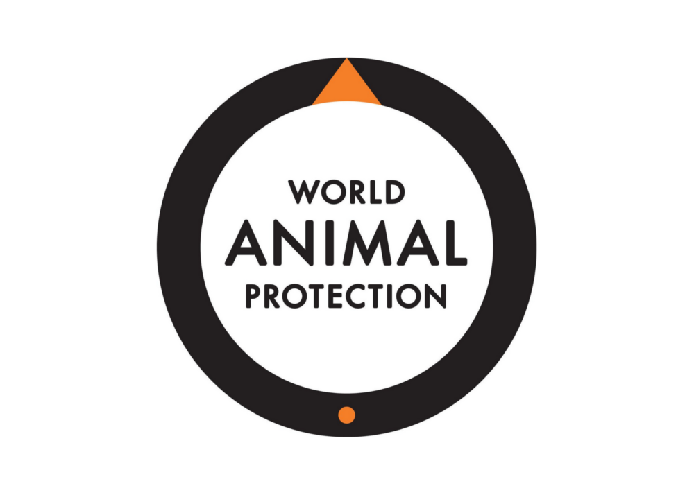 World Animal Protection Welcomes New US Executive Director
