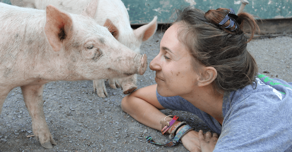 Sanctuaries for Farmed Animals and a Mission for a Vegan World