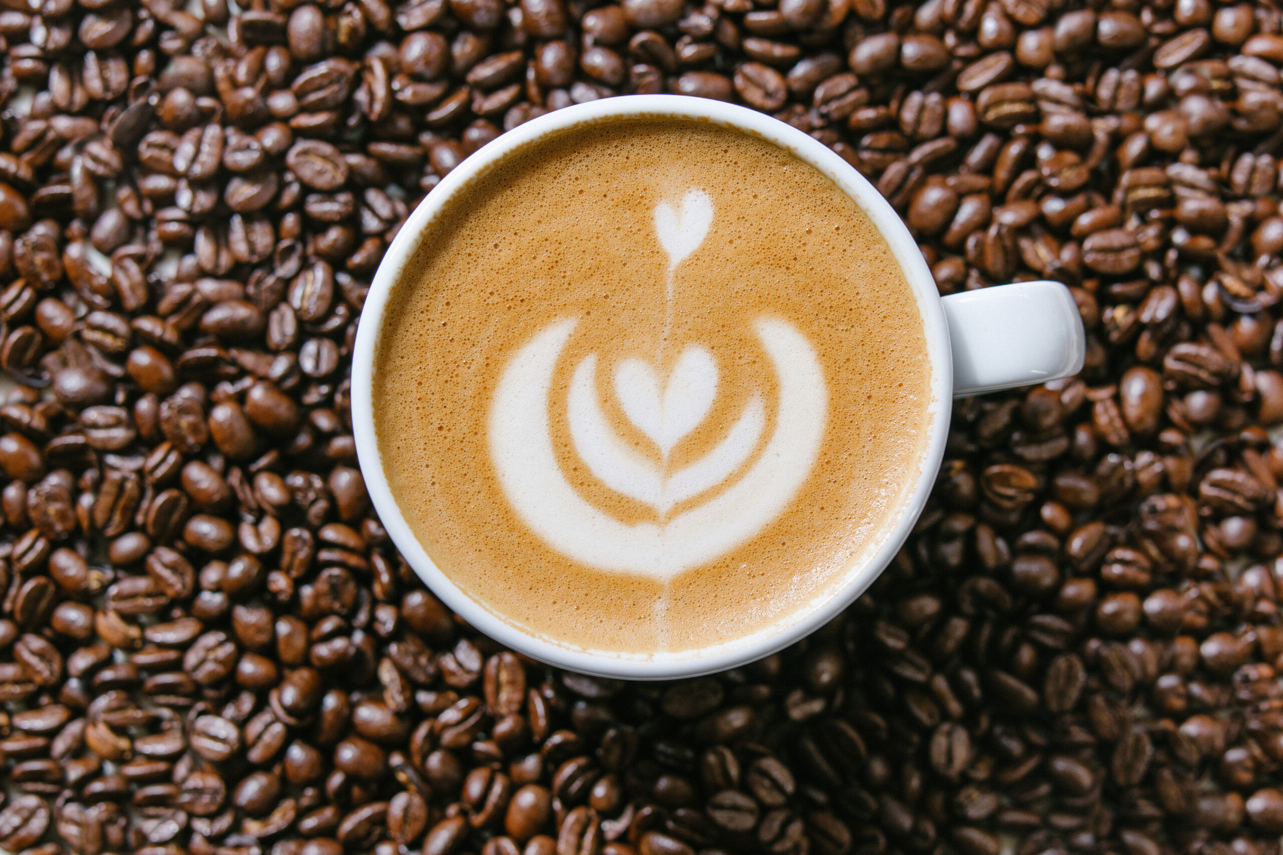 Oddlygood Launches AllIn Barista Oat Drink in the U.S VEGWORLD Magazine