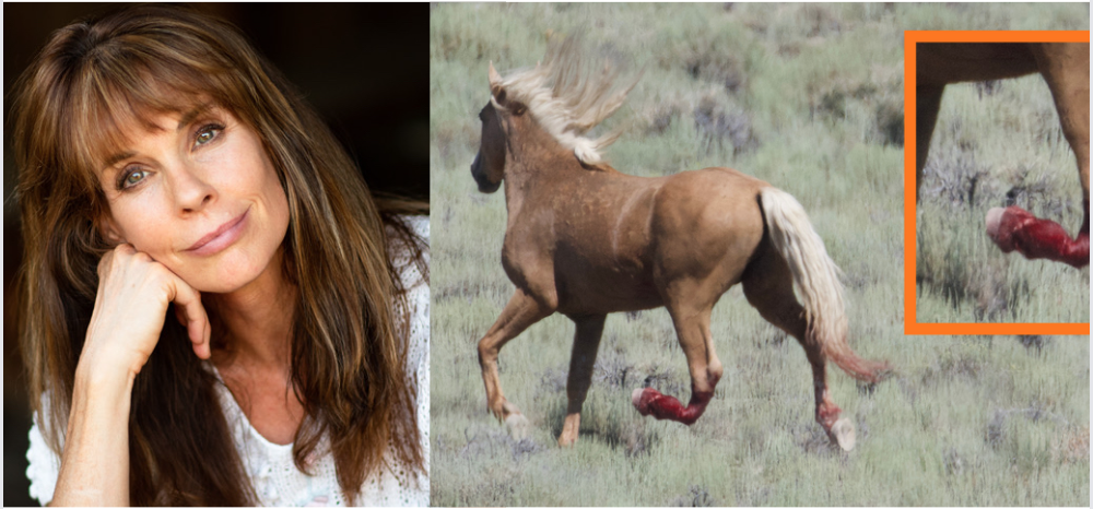 Baywatch Actress Alexandra Paul Urges Bureau of Land Management to Stop Deadly Wild Horse Roundups