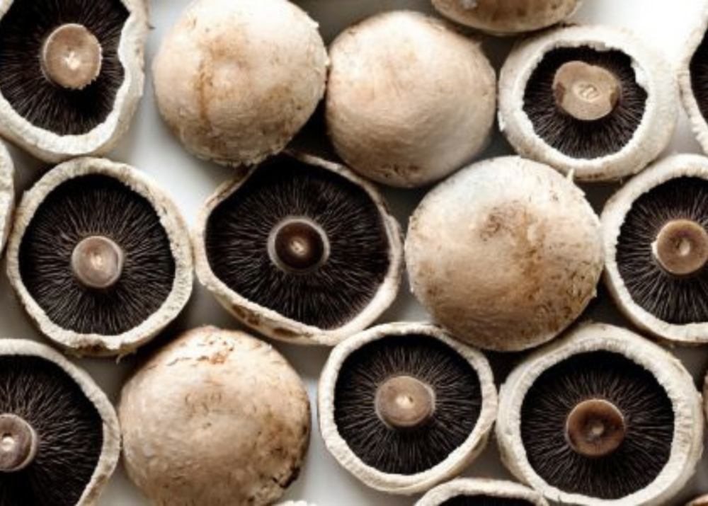 5 Amazing Health Benefits of Portobello Mushrooms
